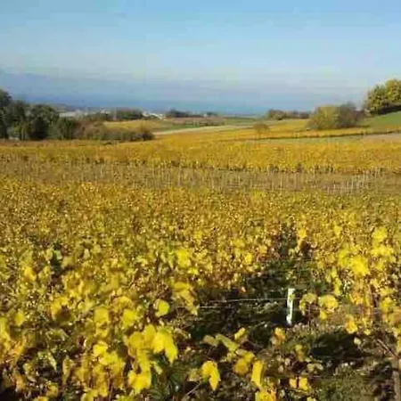 Διαμέρισμα La Martichouette Dans Maison Vue Sur Marin